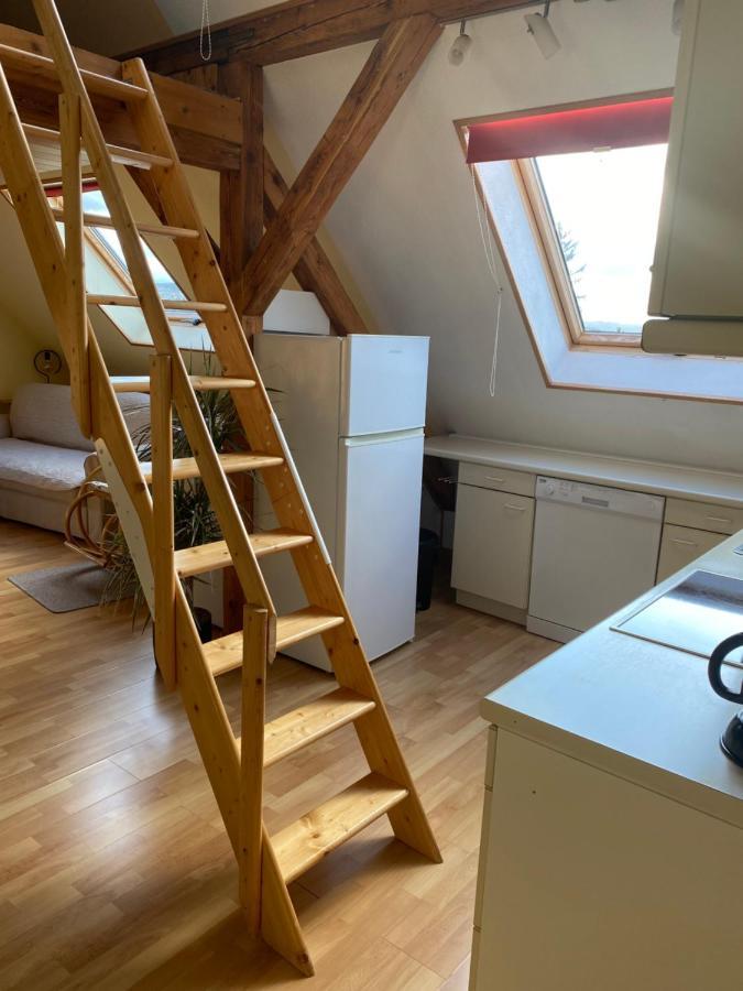 Helles Und Charmantes Loft Mit Herrlichem Blick Dresden Exterior photo