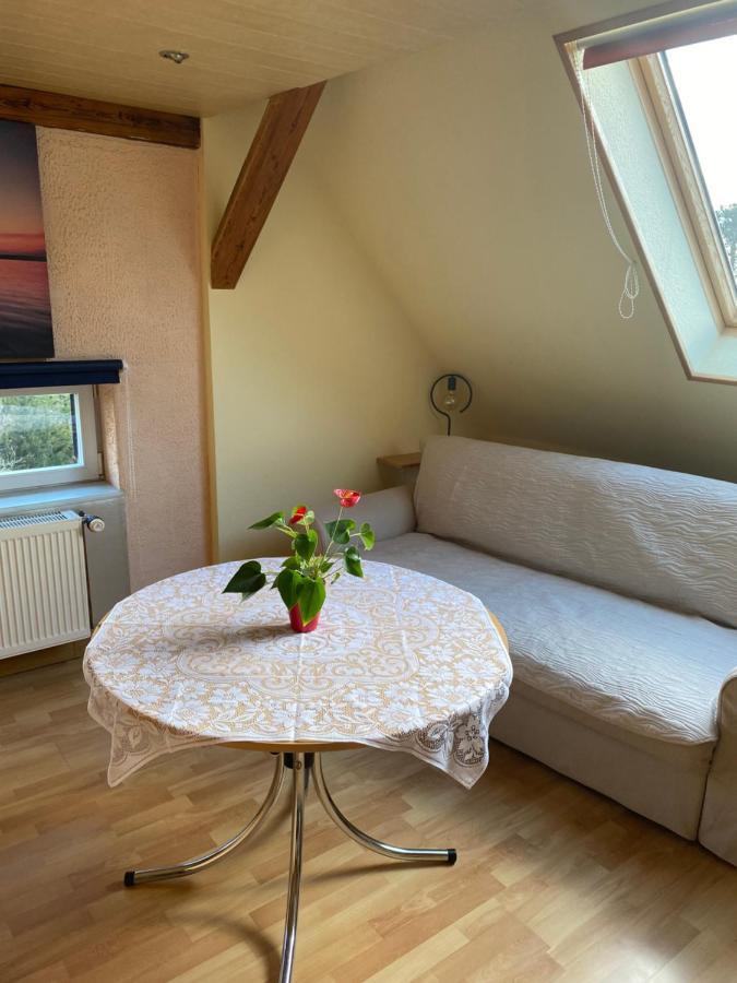 Helles Und Charmantes Loft Mit Herrlichem Blick Dresden Exterior photo