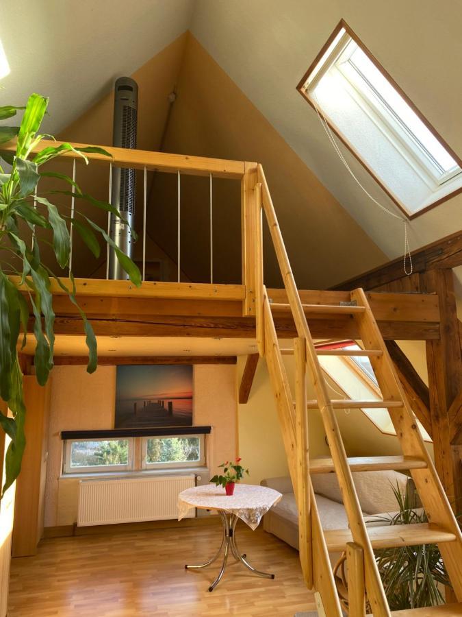 Helles Und Charmantes Loft Mit Herrlichem Blick Dresden Exterior photo